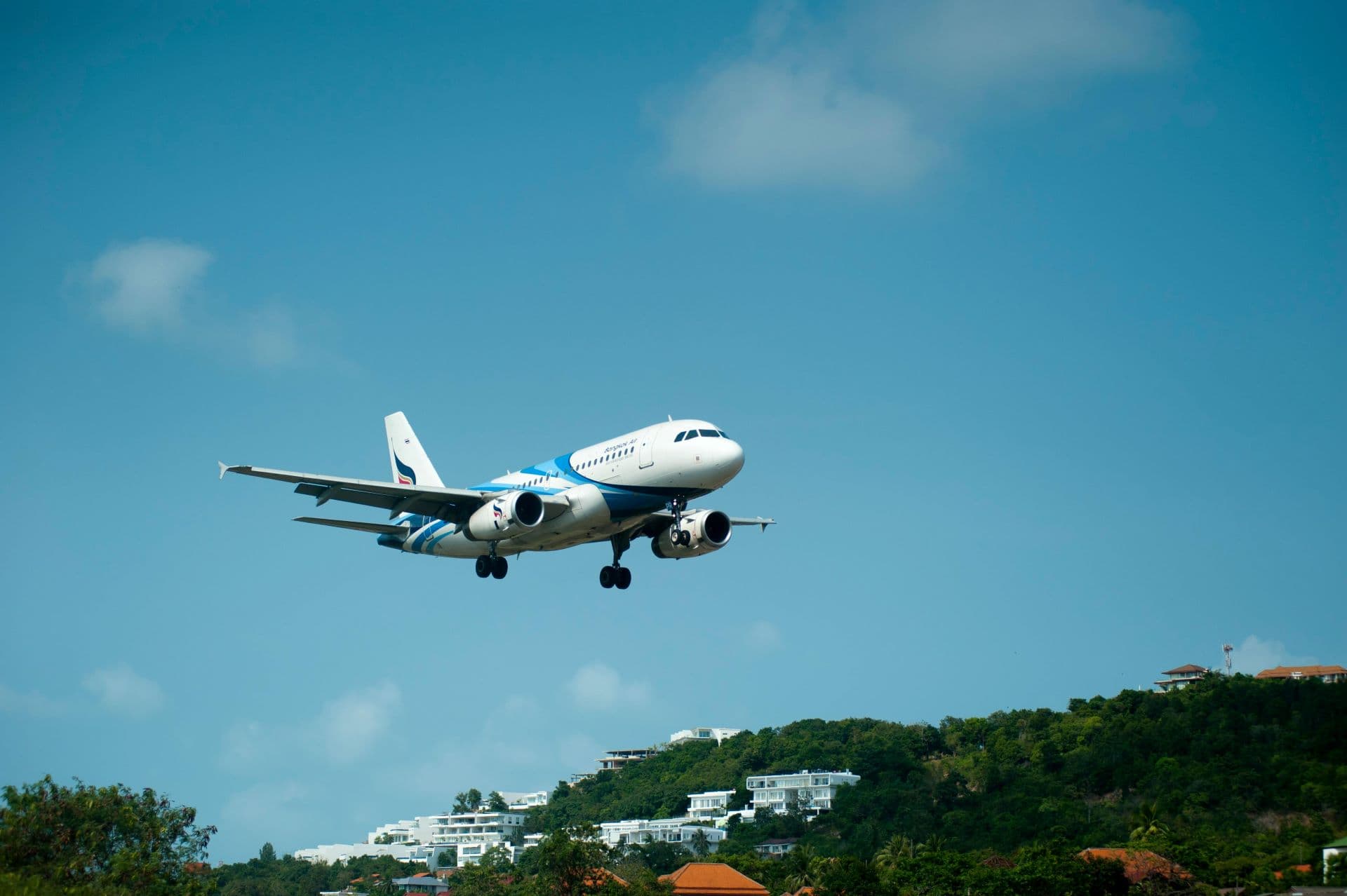 Comfort, Cost and Curiosity: What Drives Airline Choice for Tourists