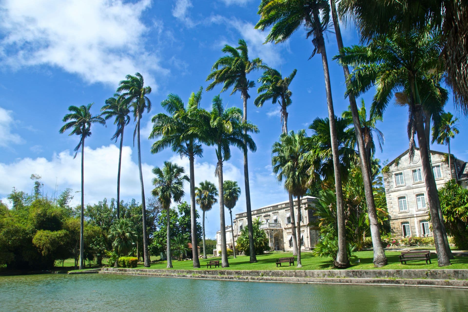 Flying To Barbados