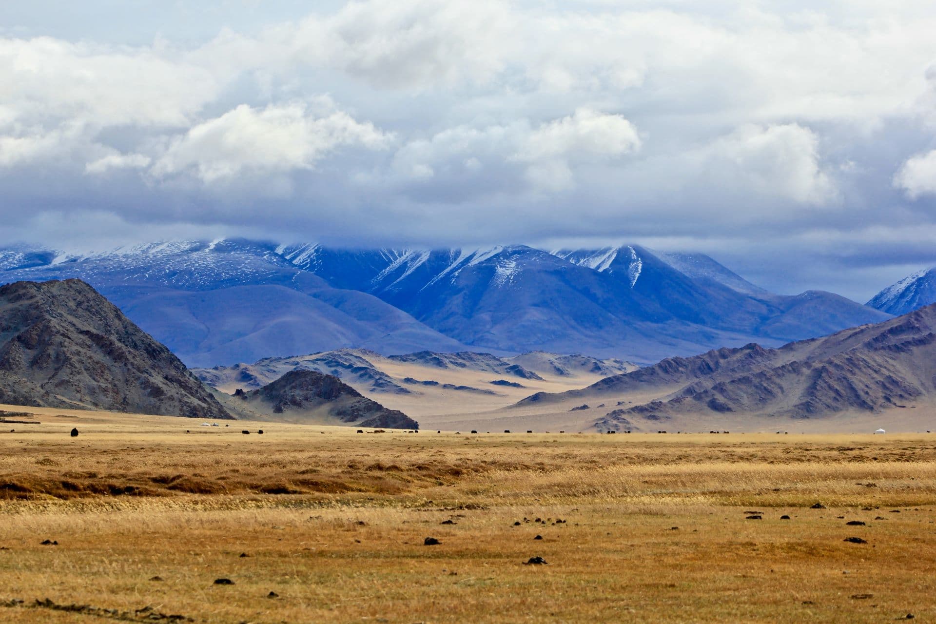 Discover Mongolia: An Adventure Like No Other