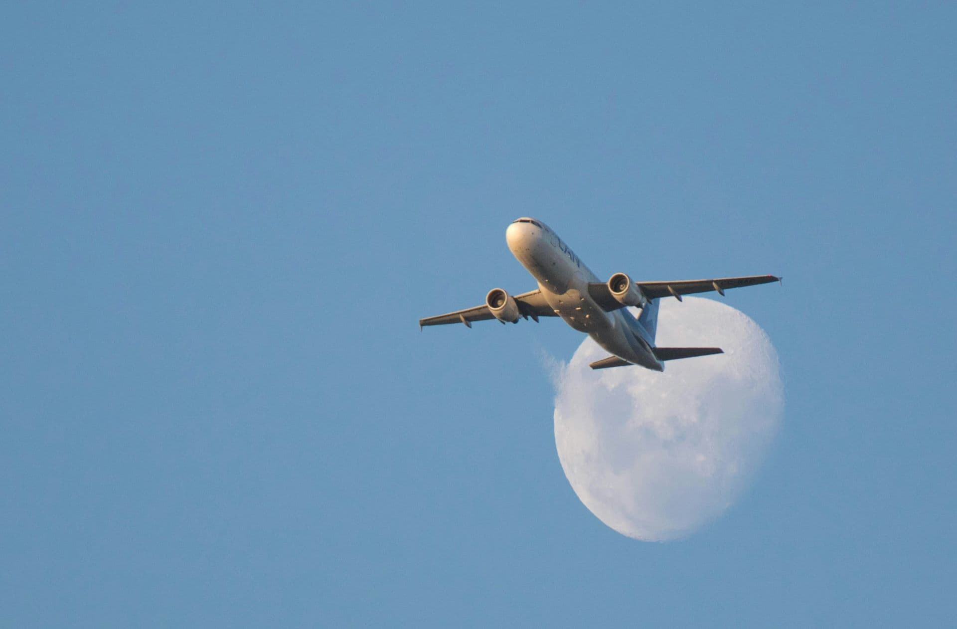 High Altitude Hijinks: The Strangest Tales from the Sky