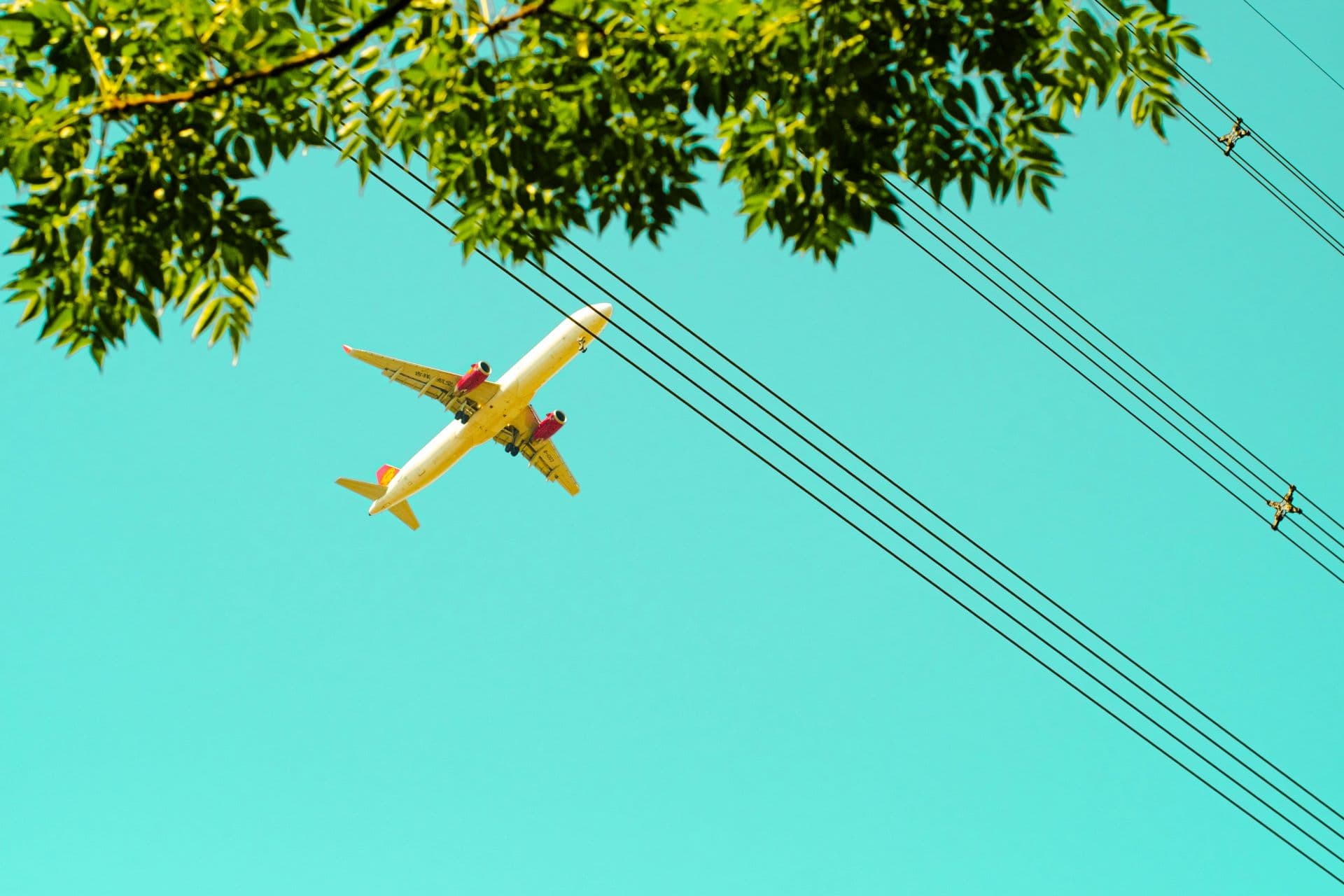 How Airlines Are Shifting to Eco-Friendly Travel