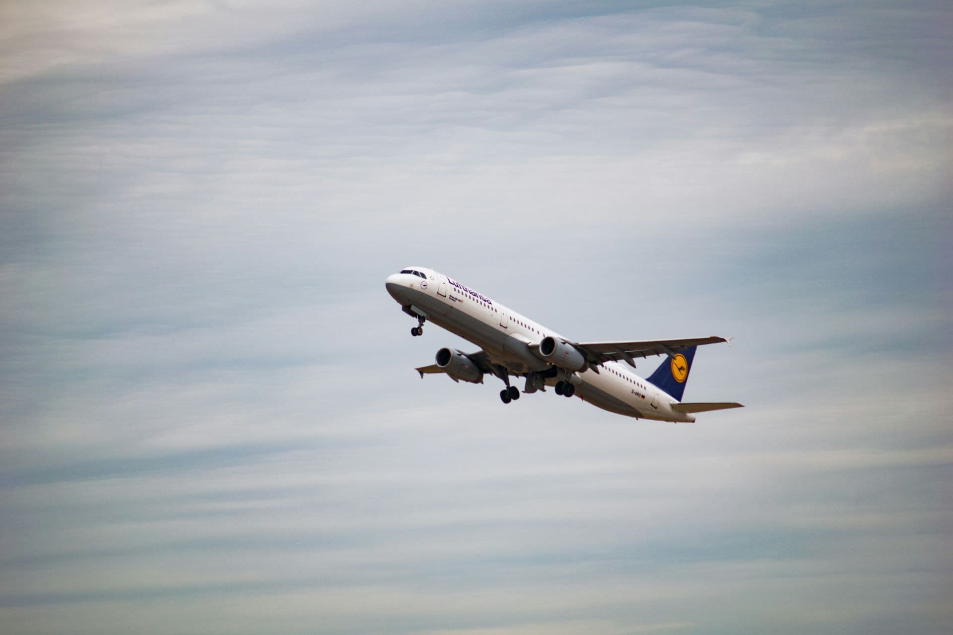 Luxury in the Skies: Are Premium Cabins the New Travel Destinations?