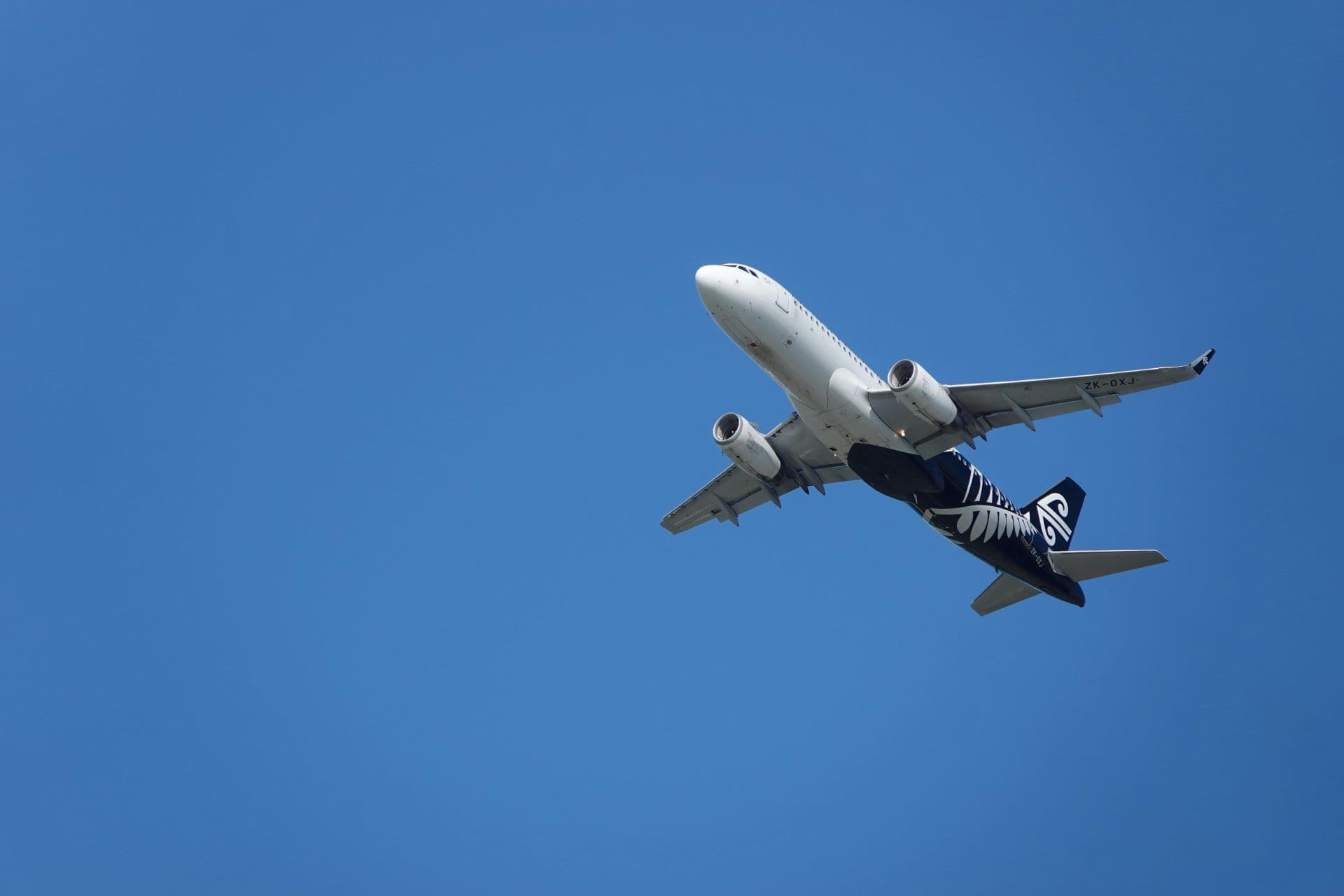 Sustainable Skies: How Tourism Aviation Will Go Green