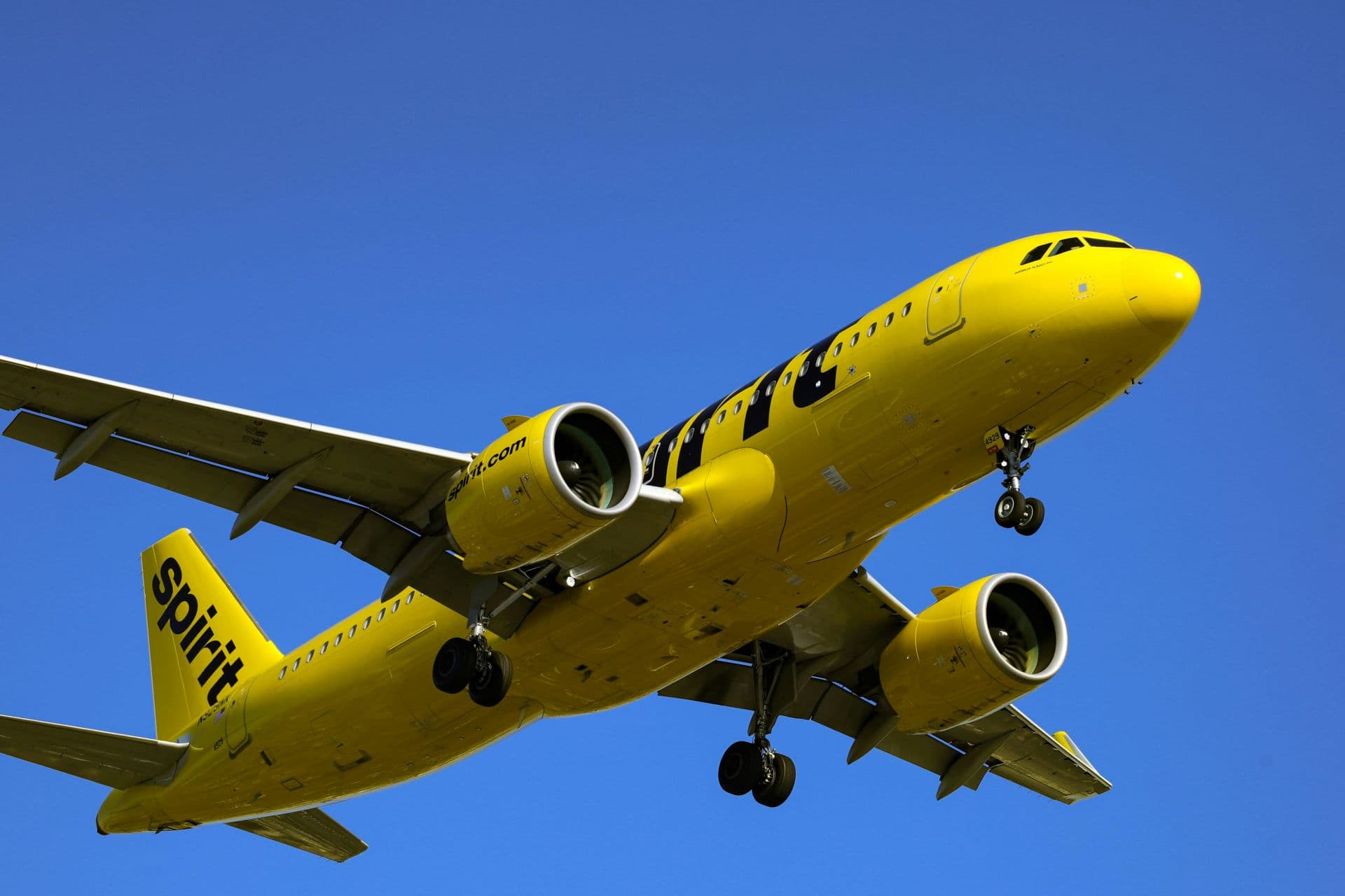 The Emotional Engine Behind Airline Brand Loyalty