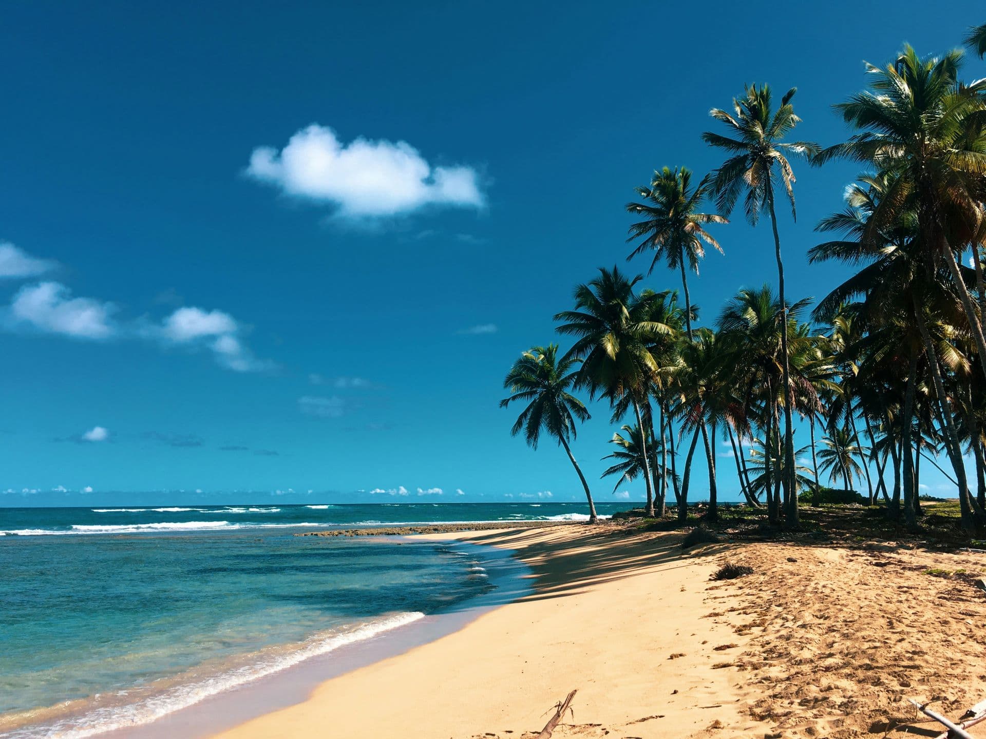 Flying to the Dominican Republic