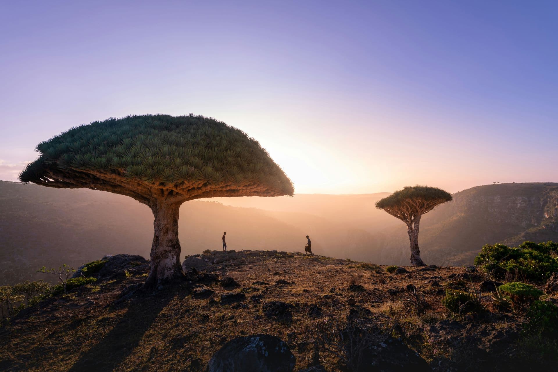 Flying To Yemen