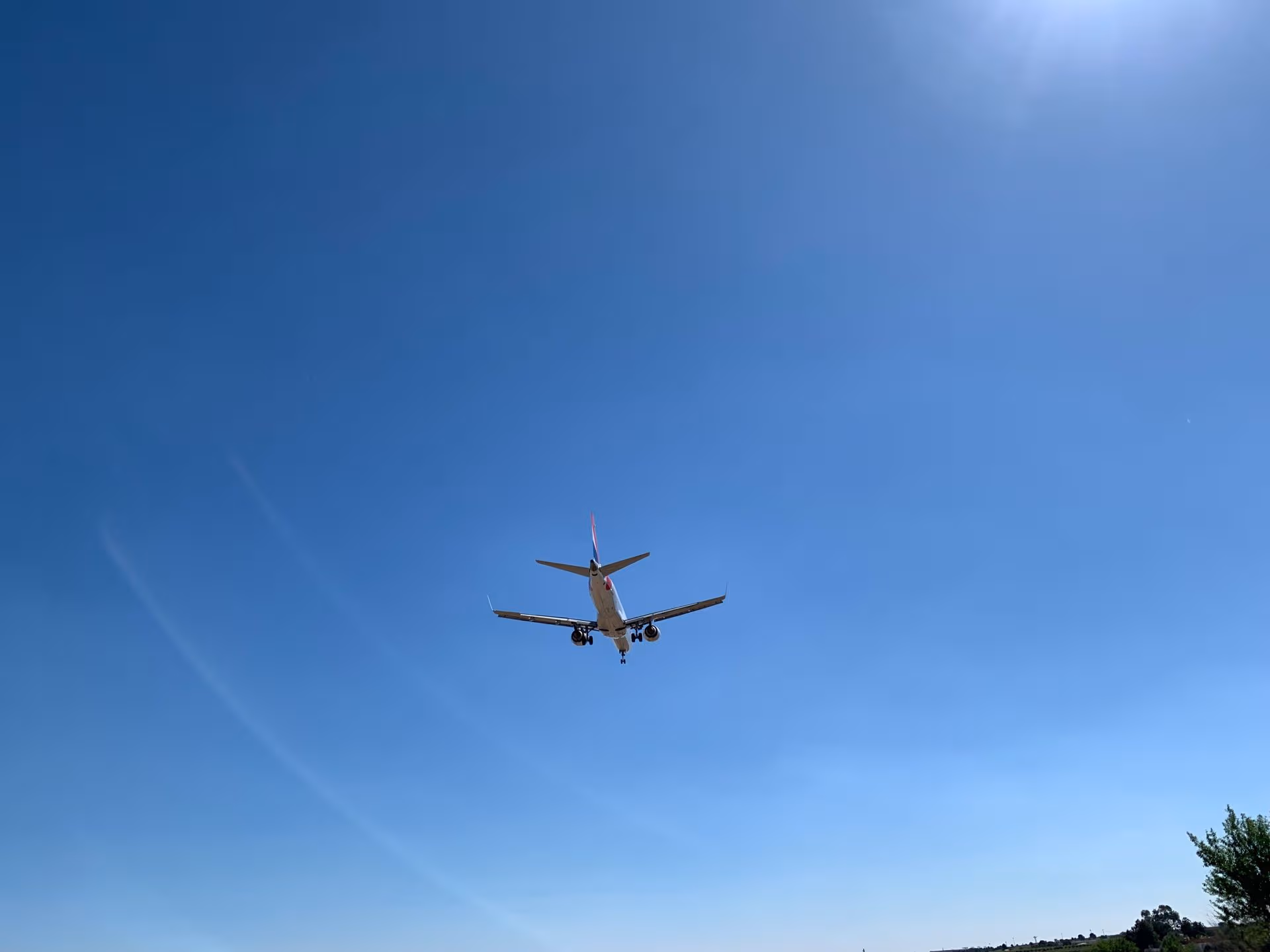 What Happens When You Miss Your Flight?