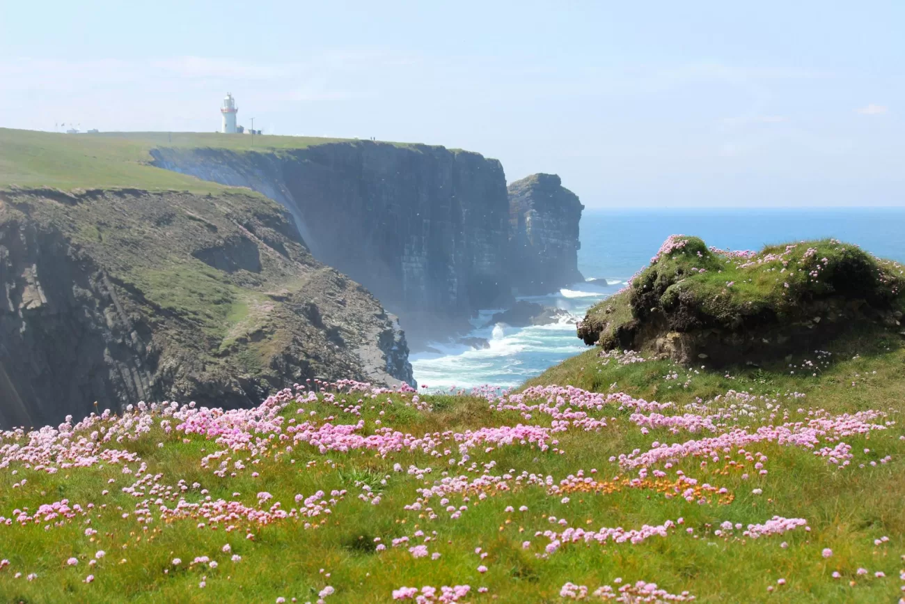 a-journey-to-the-heart-of-ireland-1300x867.webp