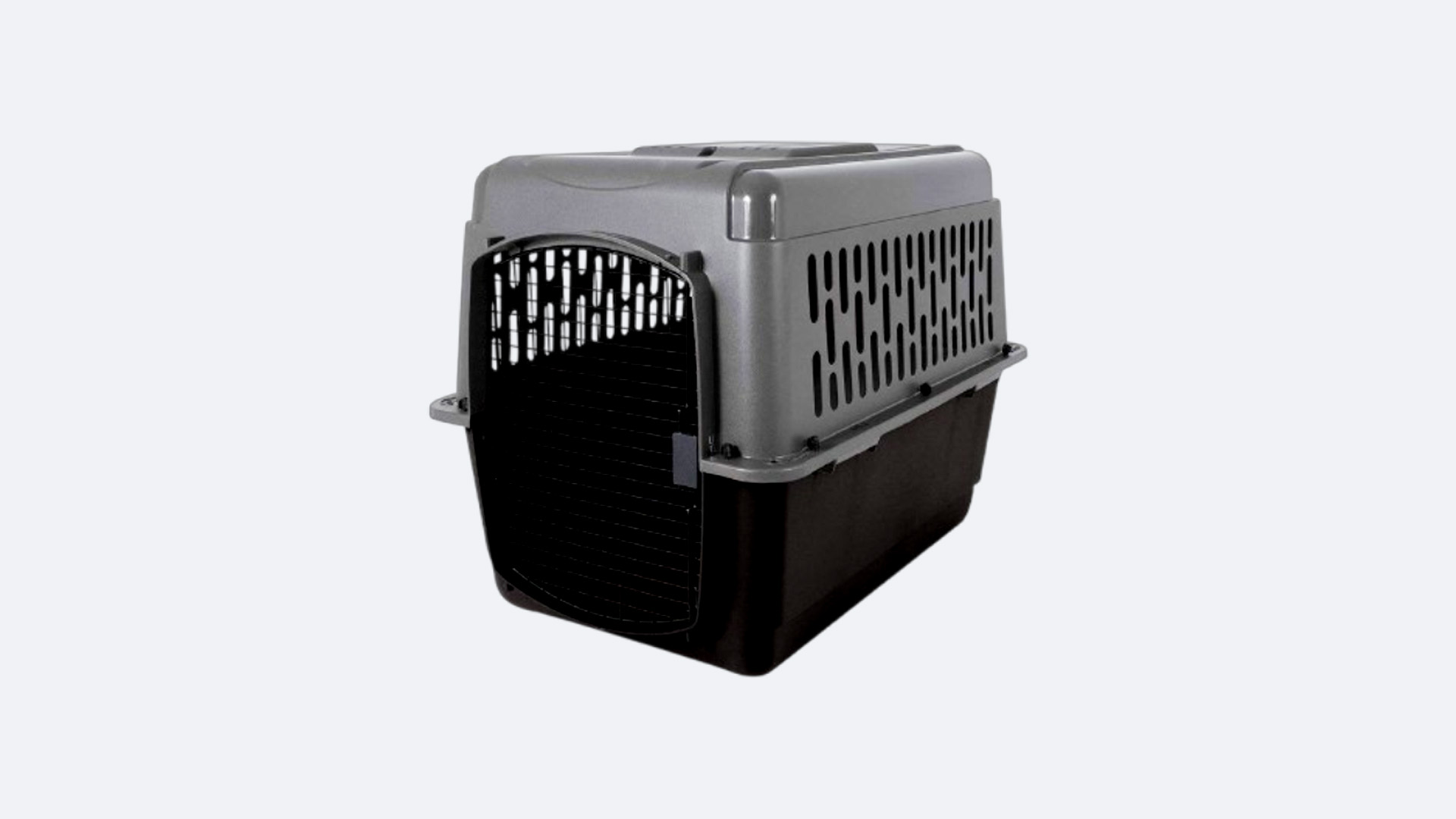 airline-approved-carriers-choosing-the-right-travel-crate.jpg