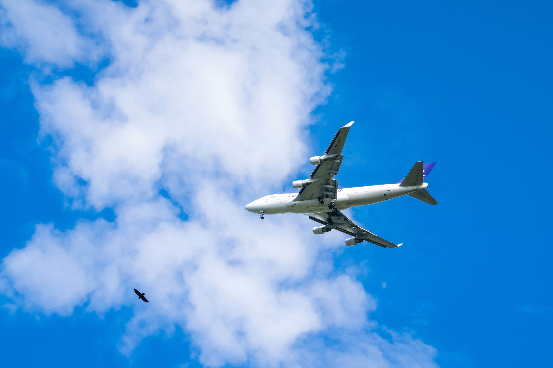 eco-route-tourism-how-flight-paths-affect-destinations-1.jpg