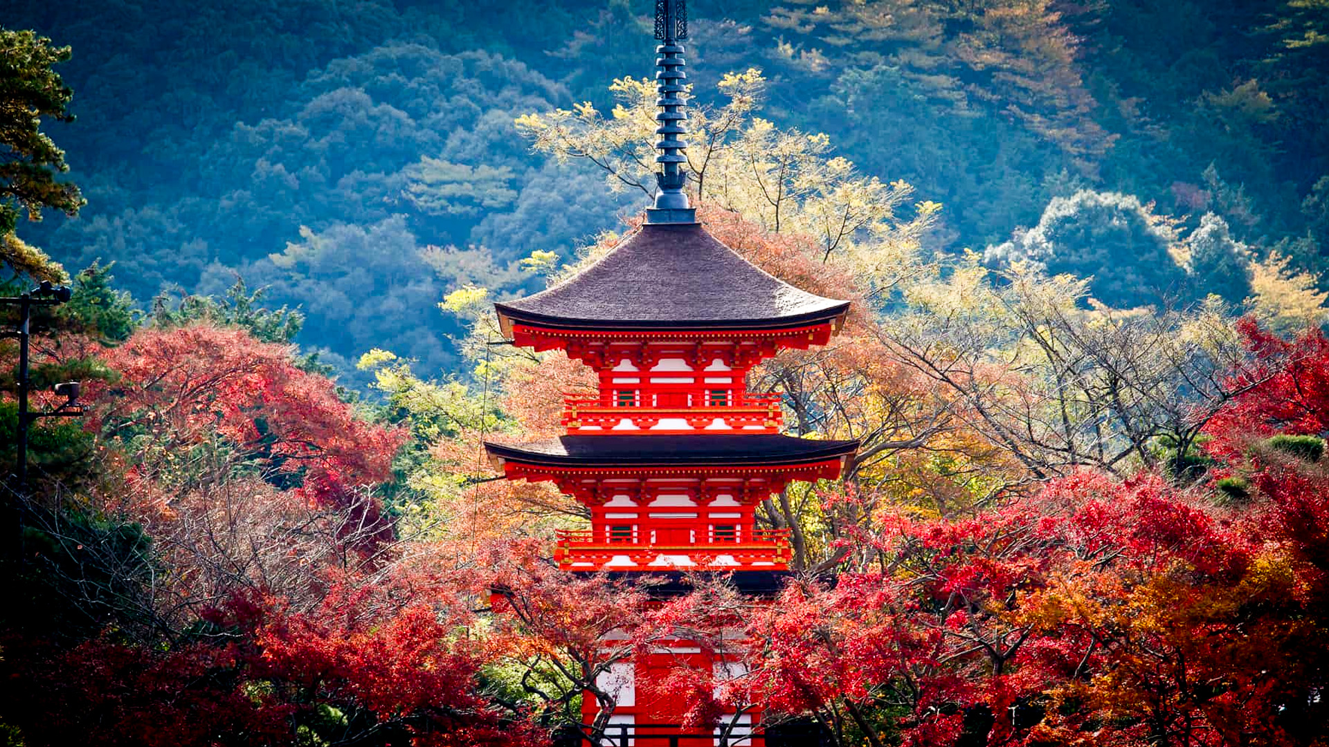 exploring-kyoto-highlights-and-must-see-attractions.jpg