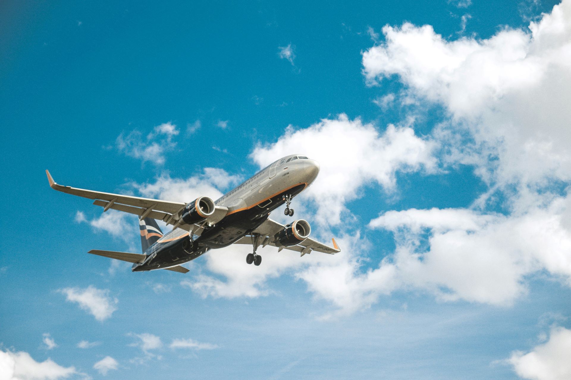 flying-into-festivals-how-airlines-shape-cultural-tourism.jpg