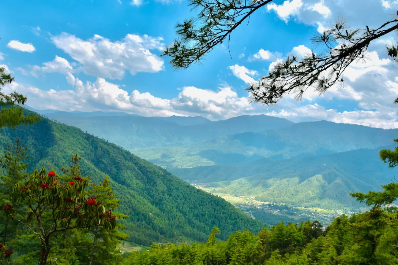 flying-to-bhutan-1300x867.webp
