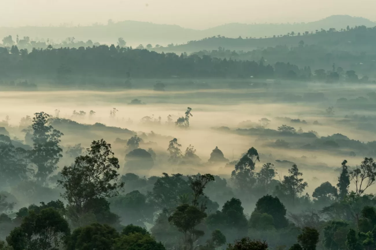 flying-to-cameroon-1300x867.webp
