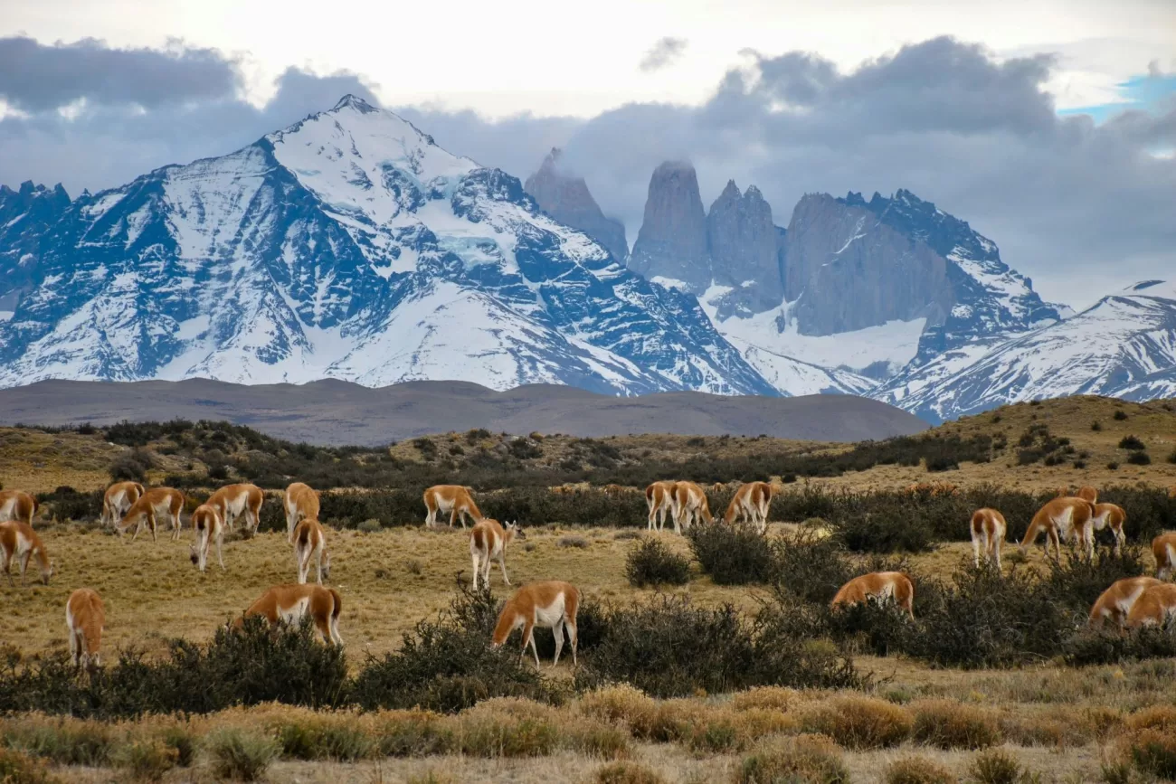 flying-to-chile-1-1300x867.webp