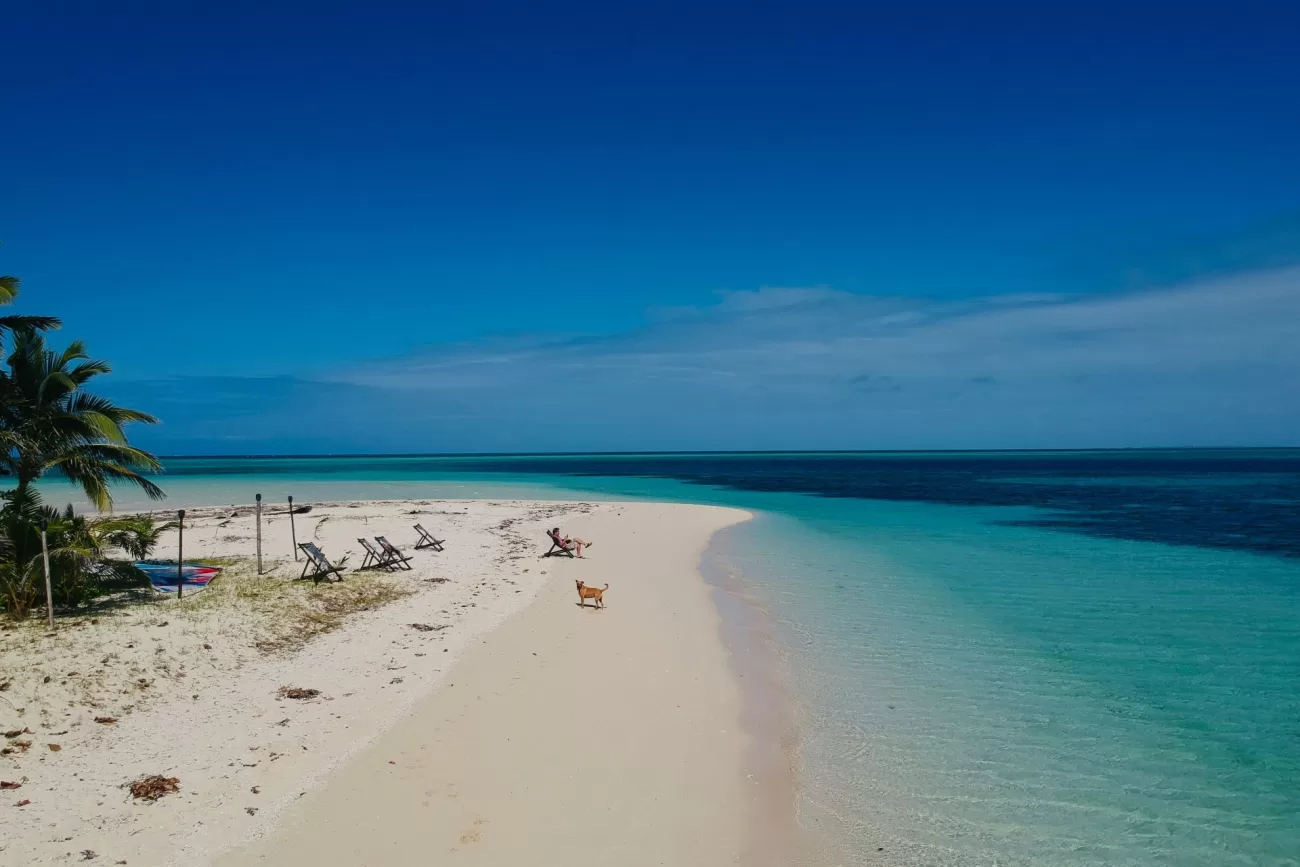 flying-to-fiji-4-1300x867.webp