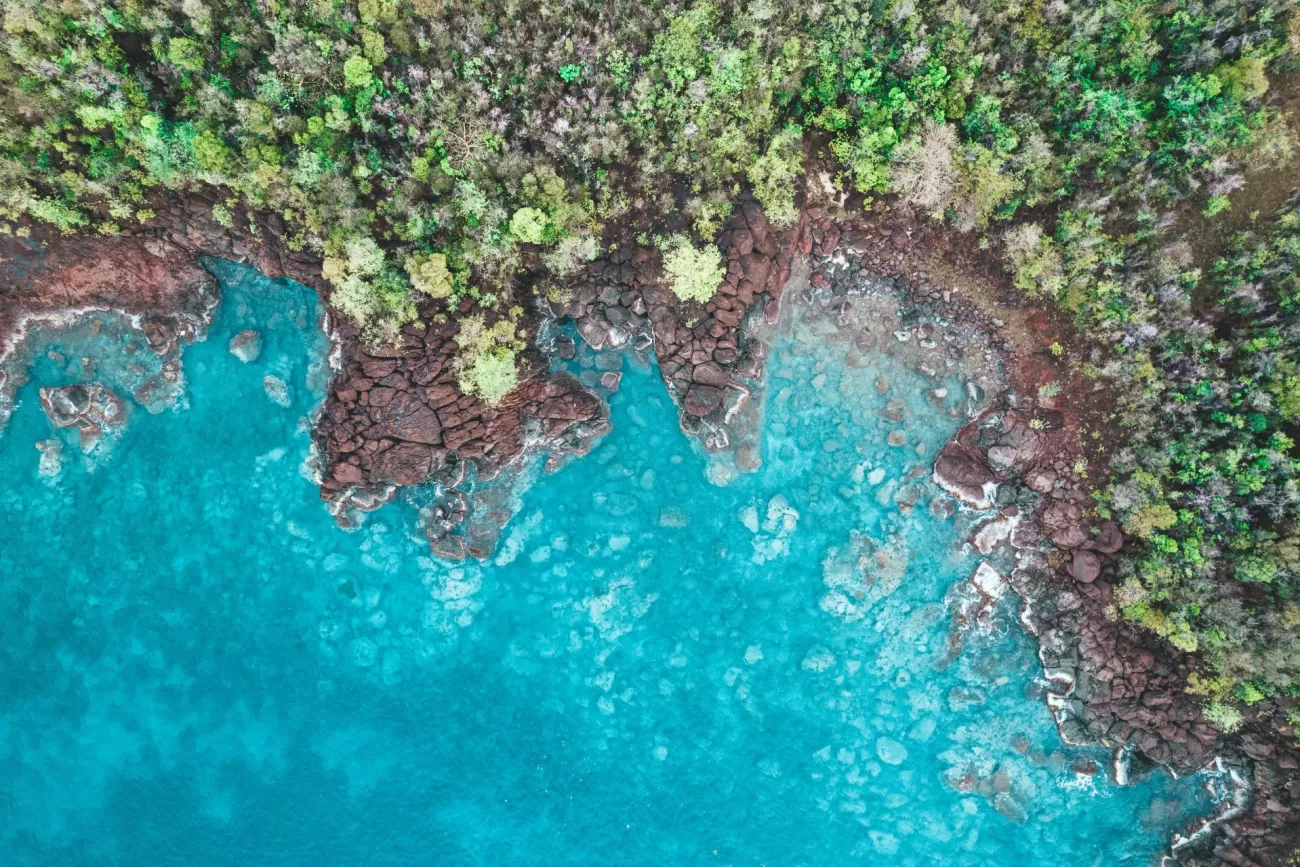 flying-to-from-south-africa-to-the-carribean-3-1300x867.webp