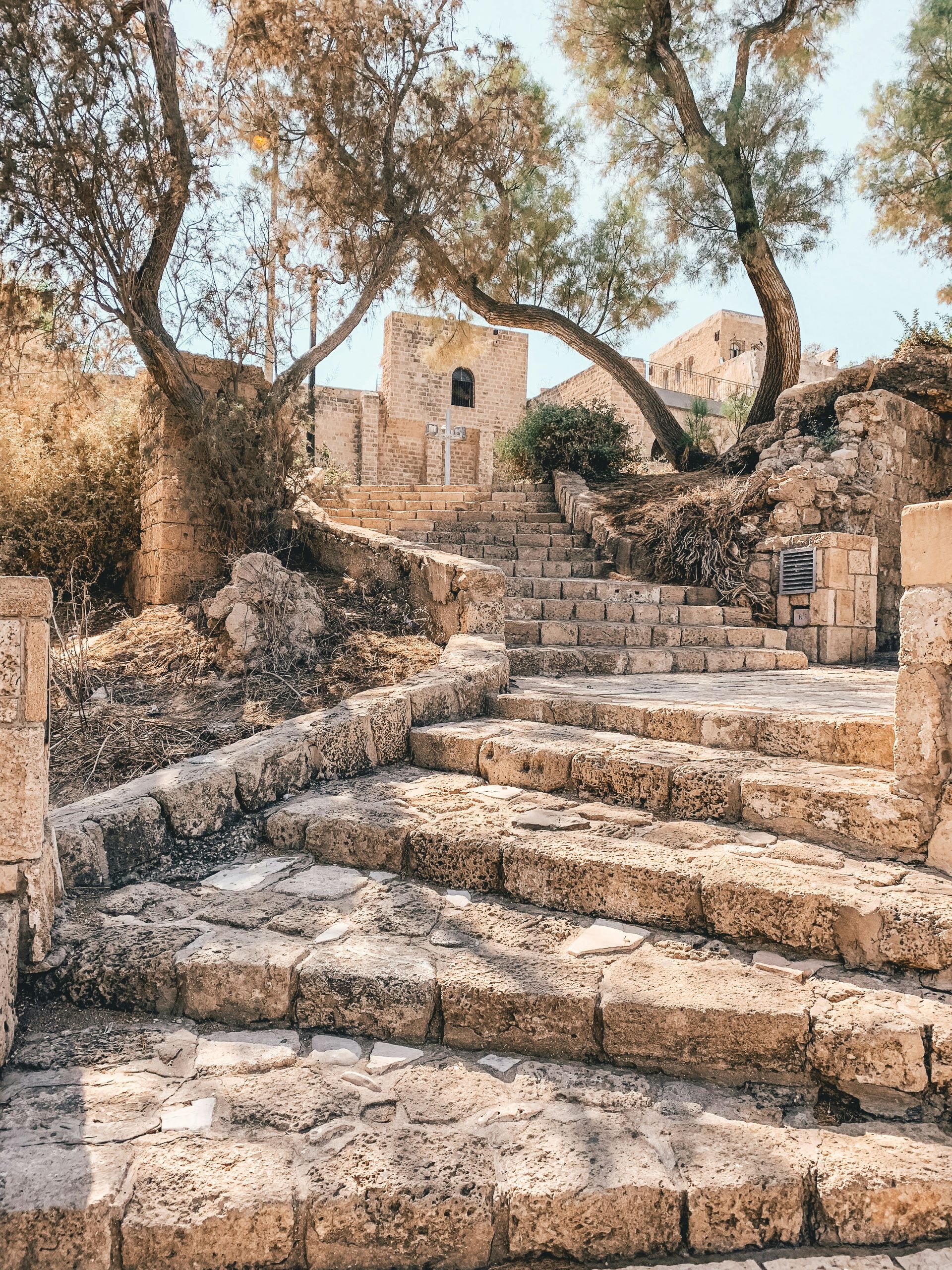 flying-to-israel-2.jpg