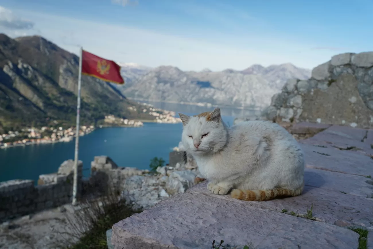 flying-to-montenegro-1300x867.webp