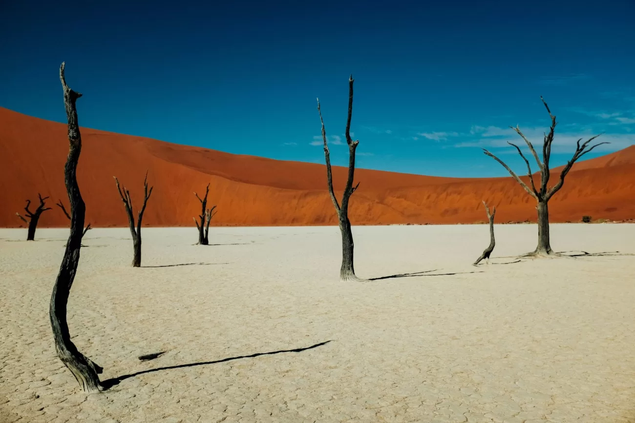 flying-to-namibia-1-1300x867.webp