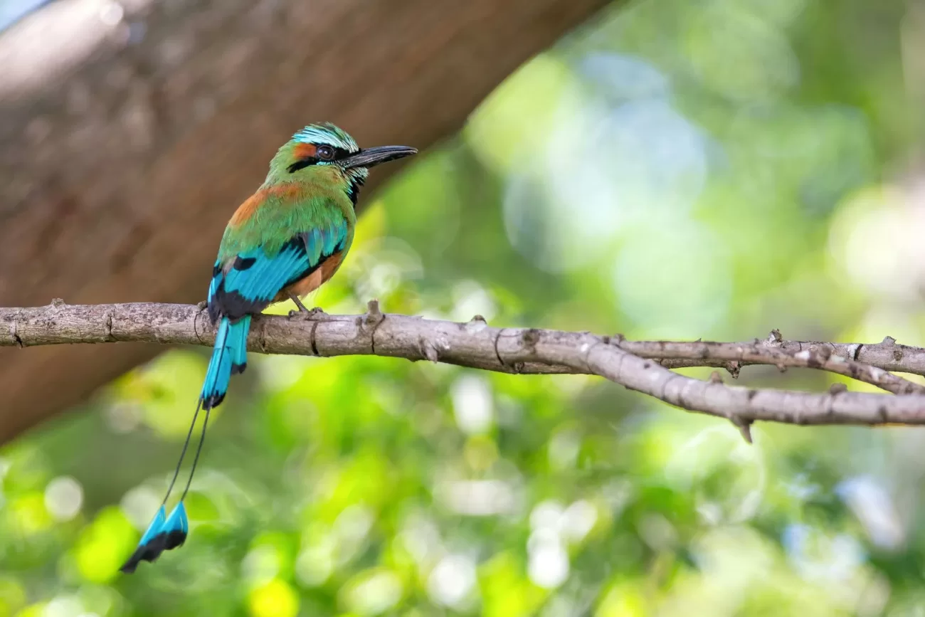 flying-to-nicaragua-1300x867.webp