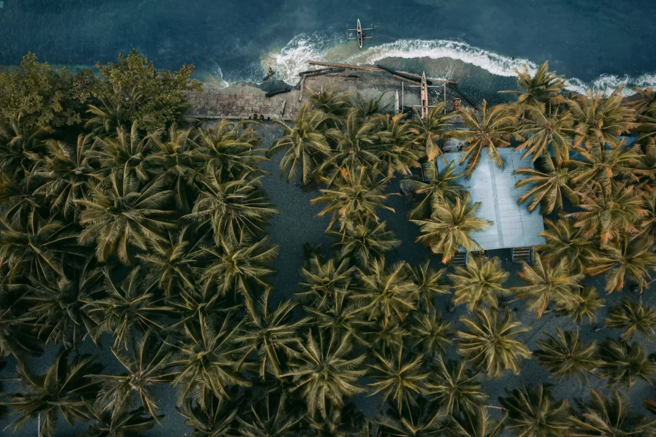 flying-to-papua-new-guinea-1-1300x867.webp