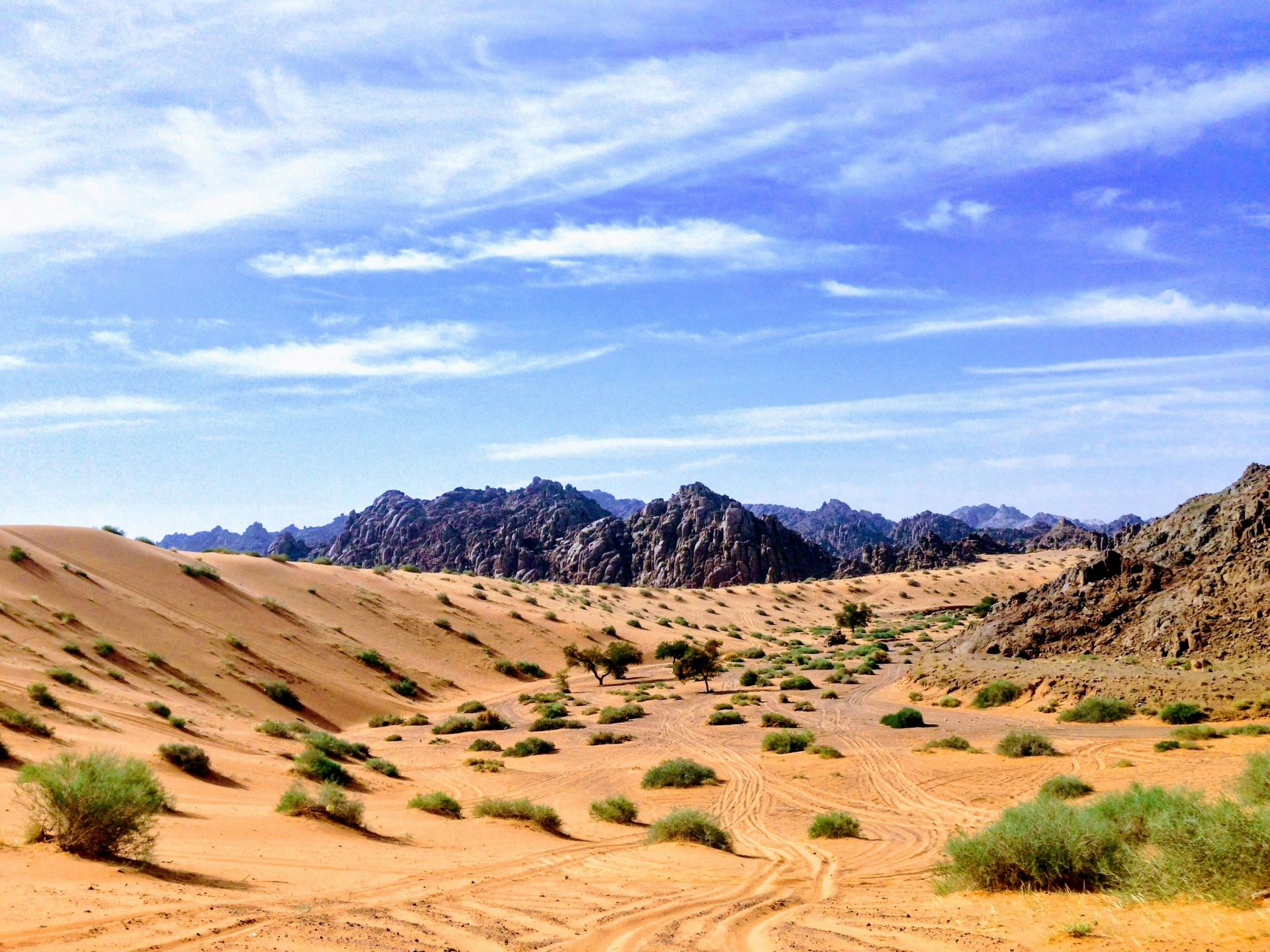 flying-to-saudi-arabia-2.jpg