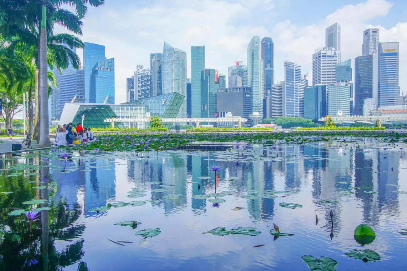 flying-to-singapore-5-1300x867.webp