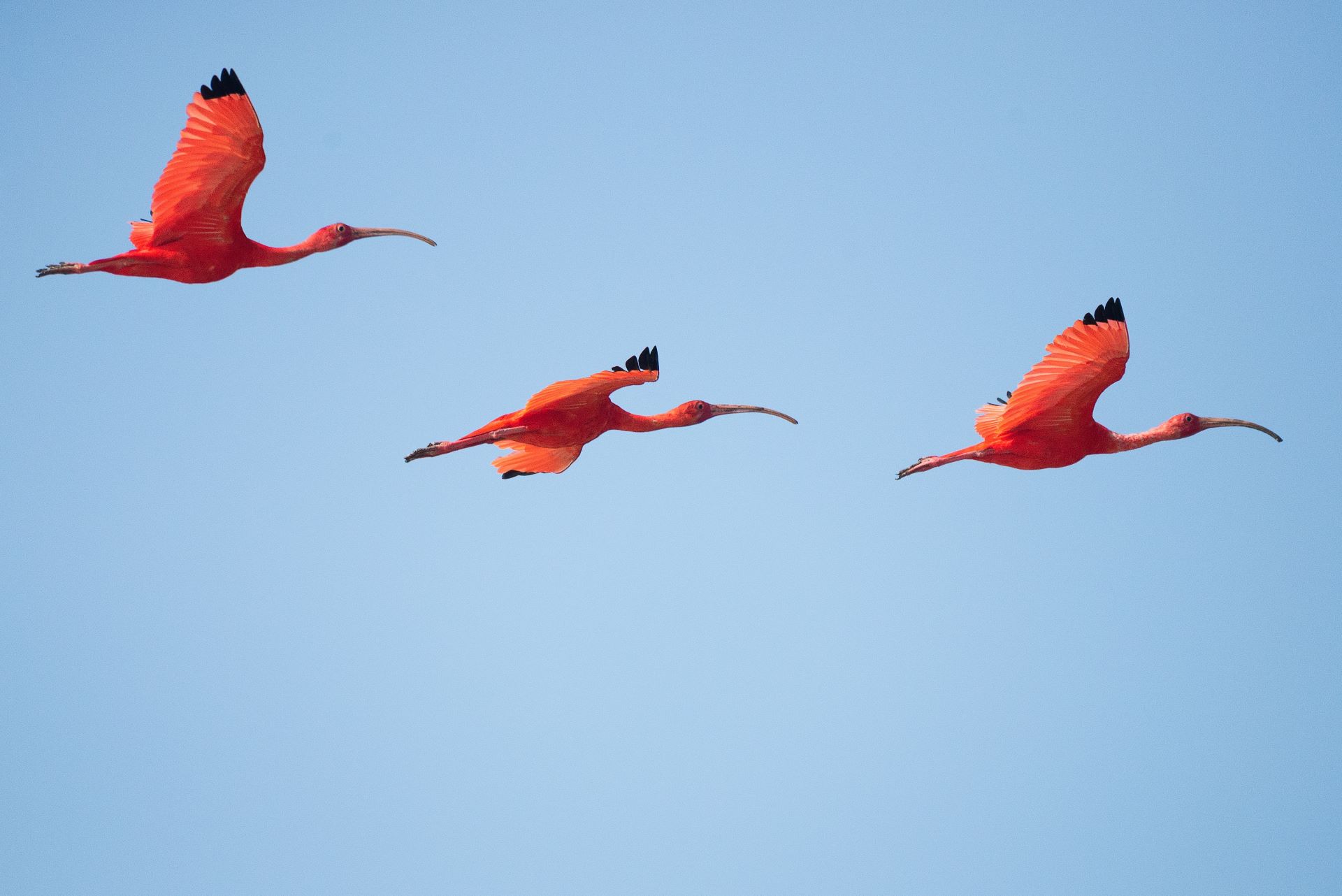 flying-to-suriname-3.jpg