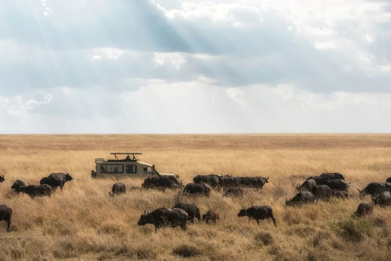 flying-to-tanzania-1300x867.webp