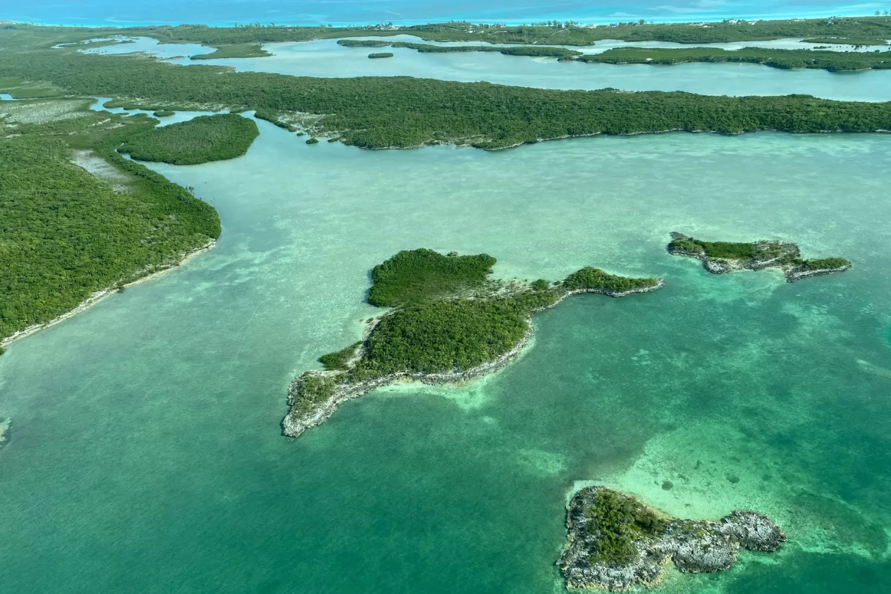 flying-to-the-bahamas-1-1300x867.webp