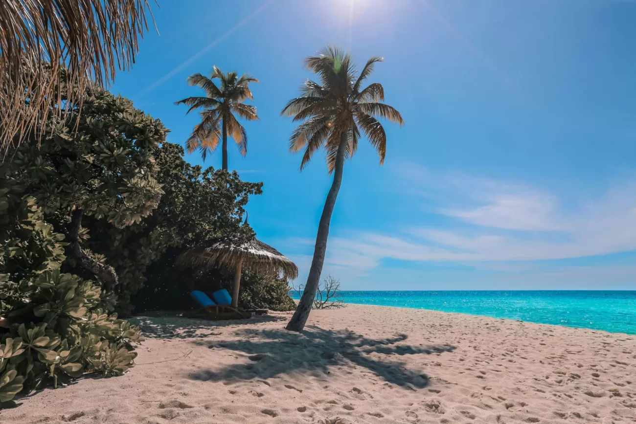 flying-to-the-bahamas-2-1300x867.webp