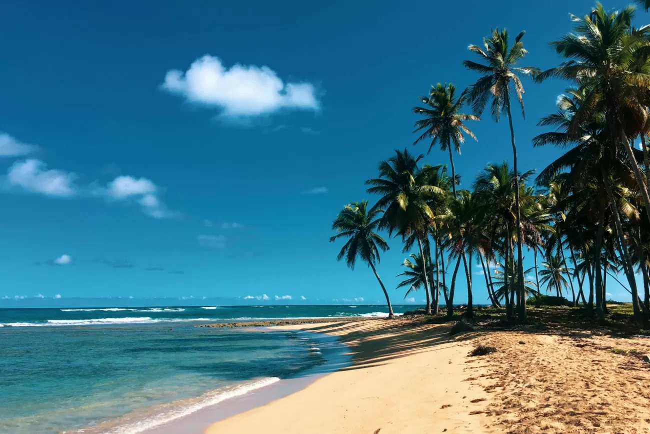 flying-to-the-dominican-republic-1-1300x867.webp