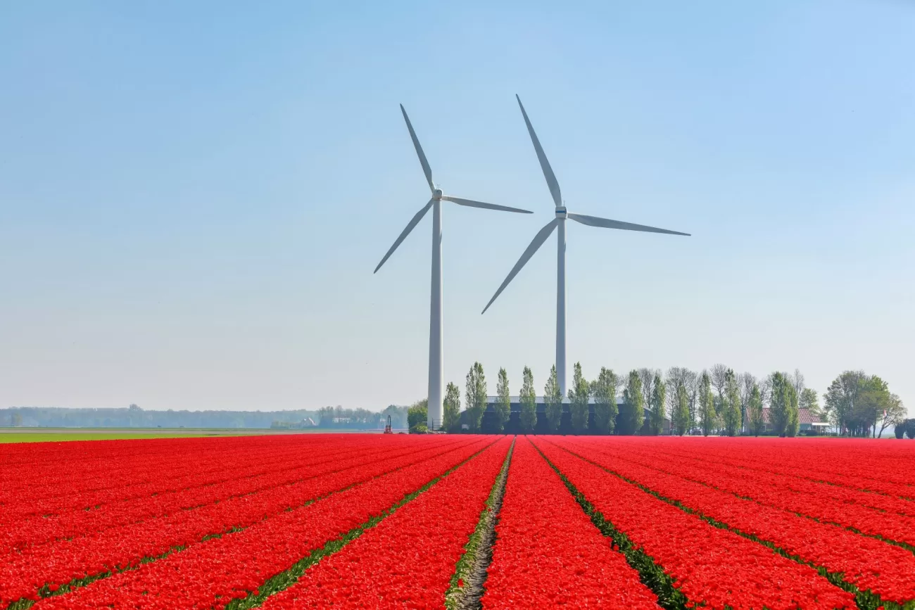 flying-to-the-netherlands-1-1300x867.webp