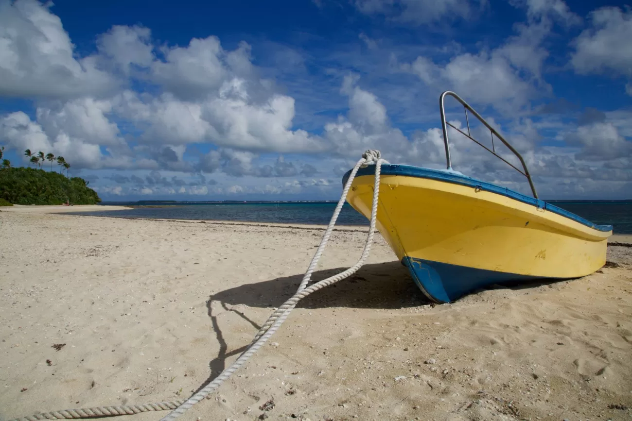 flying-to-tonga-2-1300x867.webp