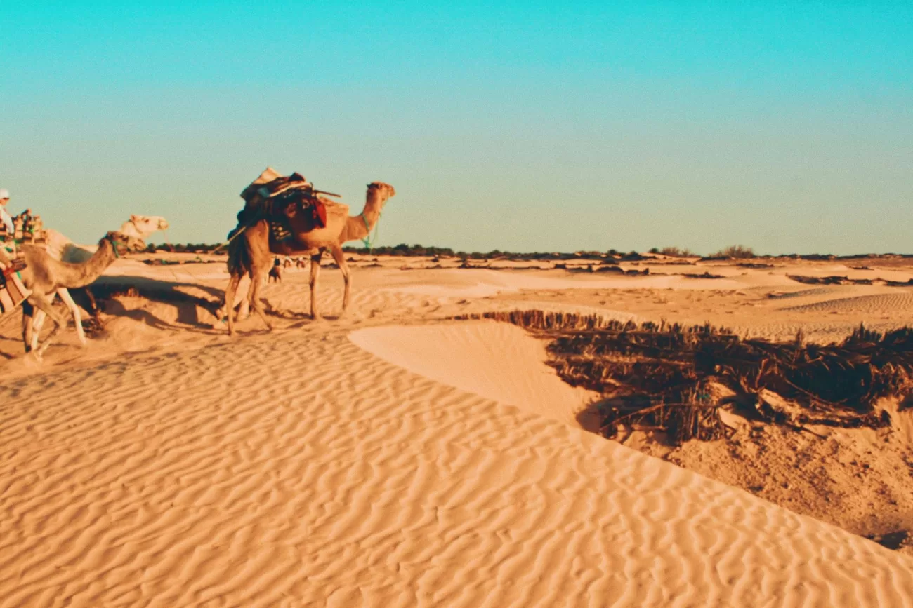 flying-to-tunisia-3-1300x867.webp