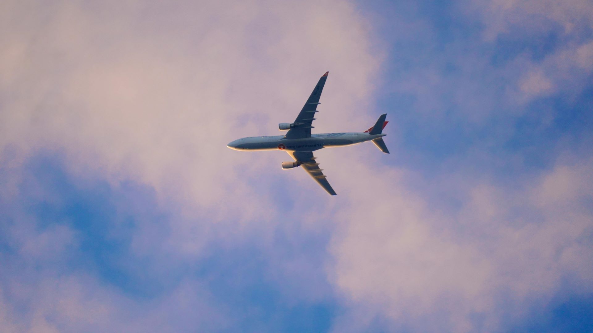 how-airline-mergers-shape-tourist-routes-and-pricing-1