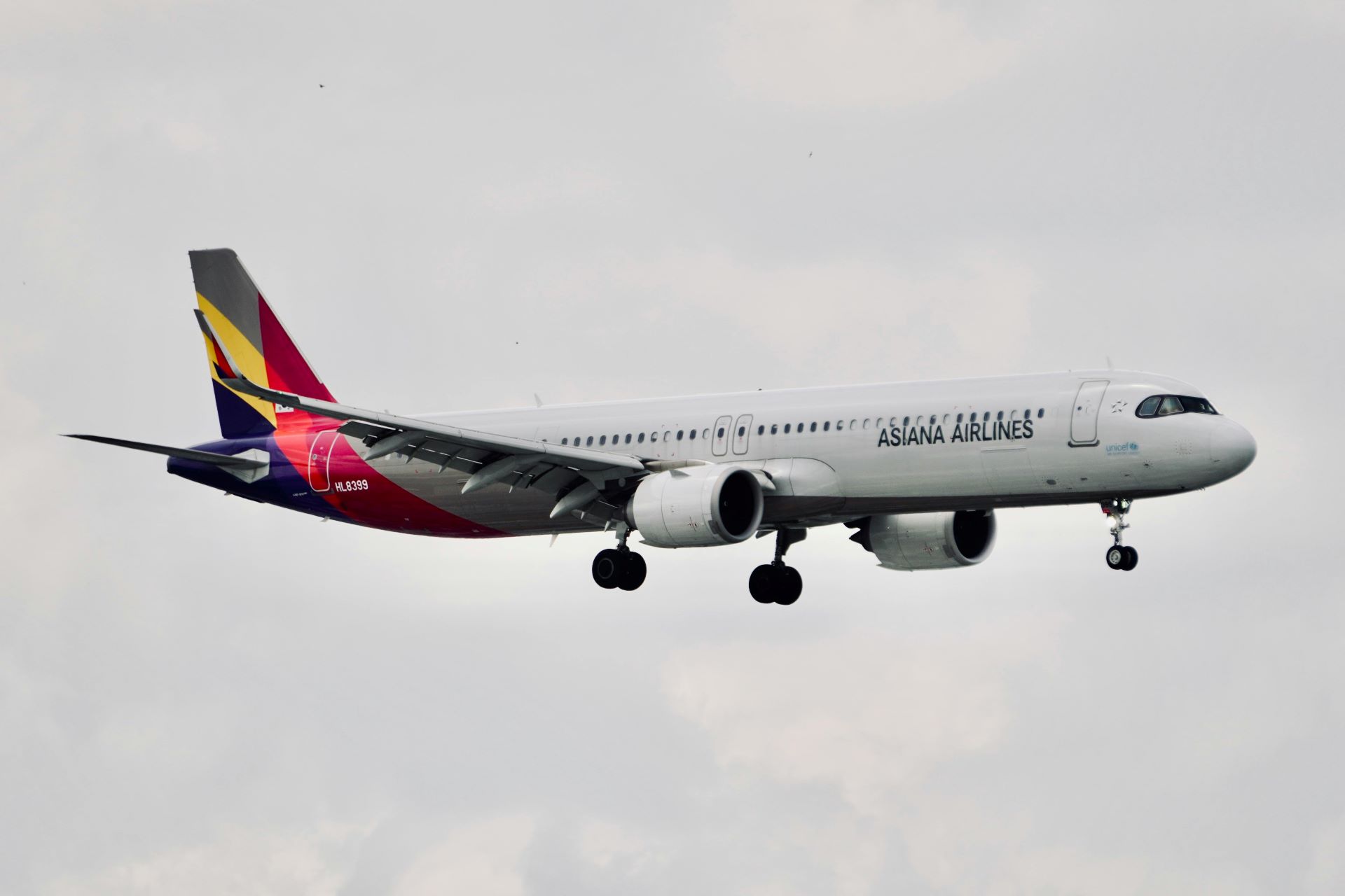 how-airline-mergers-shape-tourist-routes-and-pricing-2