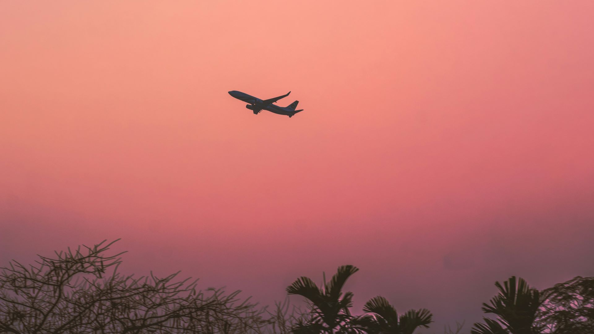 regional-connectivity-and-domestic-tourism-how-airlines-drive-travel-beyond-the-capitals-2.jpg