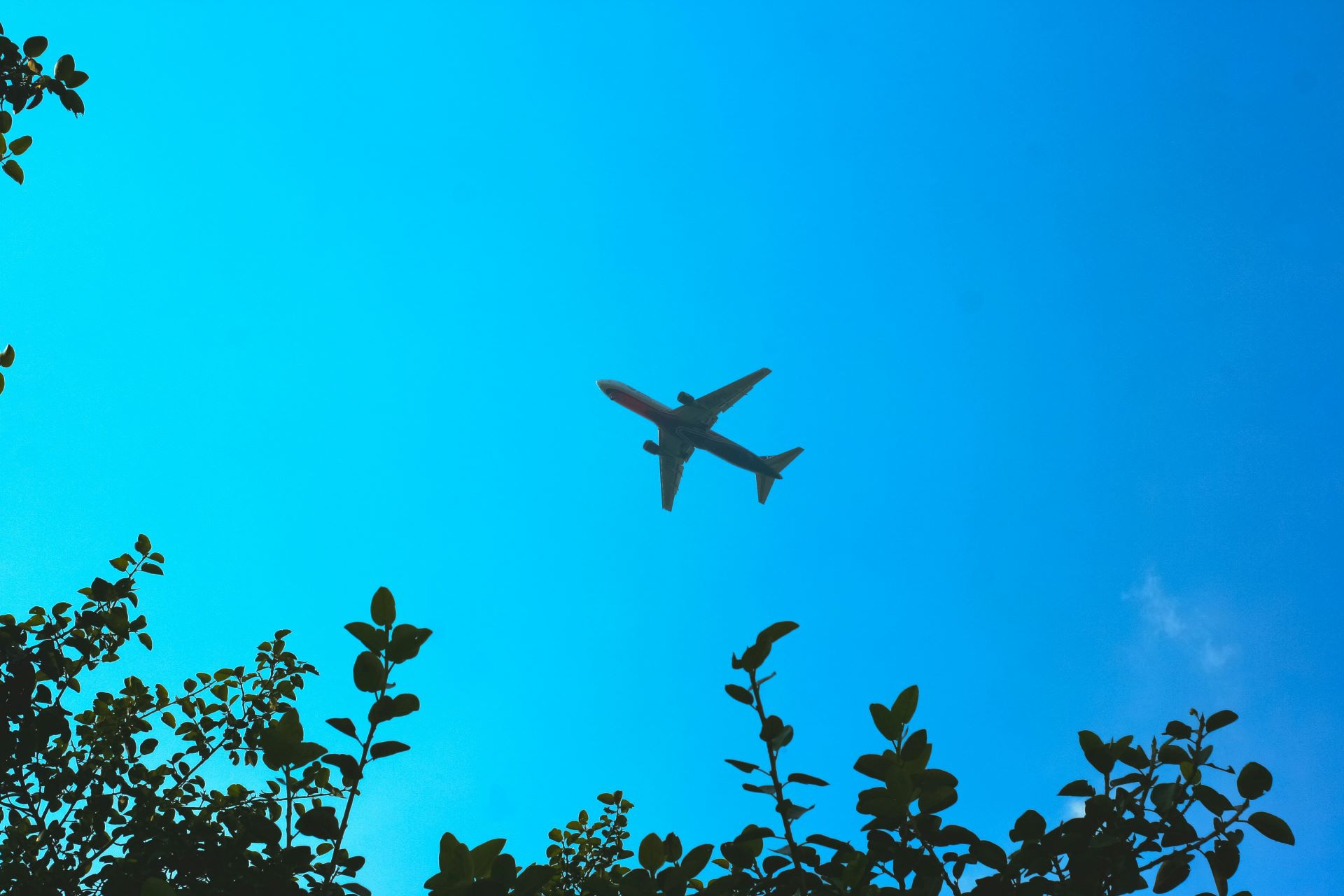 sustainable-destinations-sustainable-flights-redefining-travel-for-the-conscious-traveler.jpg