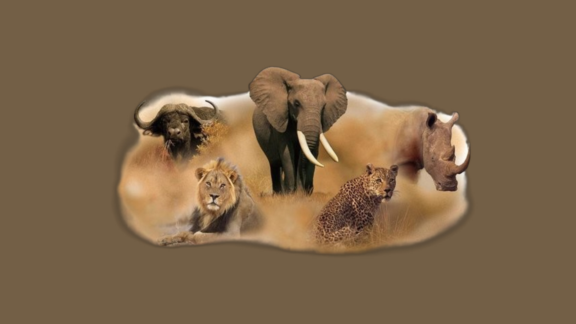 the-big-five.jpg